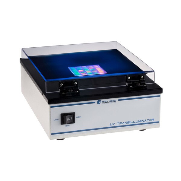 UV Transilluminator
